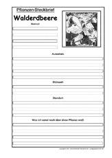 Pflanzensteckbrief-Walderdbeere-SW.pdf